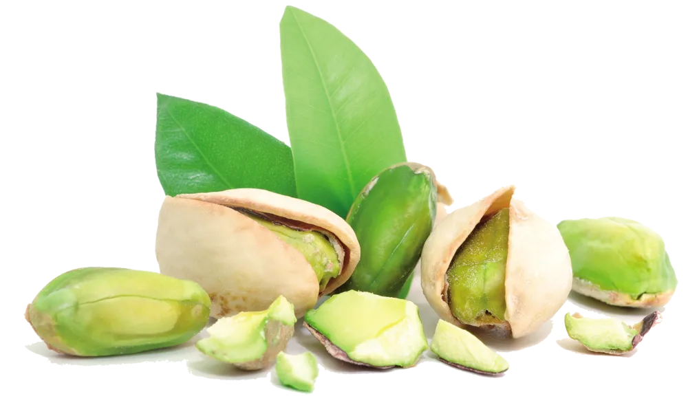 Pistachio